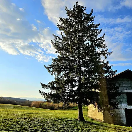 La Maison Du Vacher Thodure
